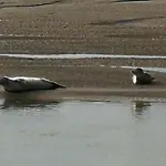 La Longere A La 6 Pers 3 Grand Jardin Clot A Nyaraló *