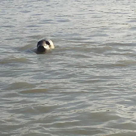 La Longere A La 6 Pers 3 Grand Jardin Clot A *