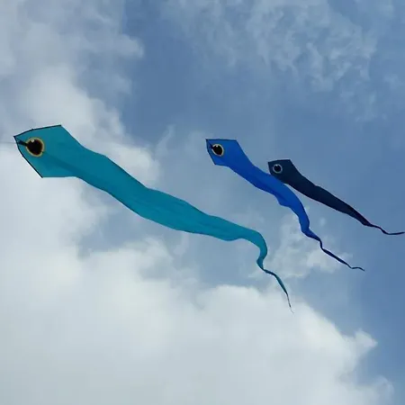 La Longère à La 6 Pers 3 Grand Jardin Clôt A Fort-Mahon-Plage