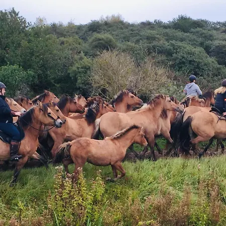 La Longere A La 6 Pers 3 Grand Jardin Clot A Nyaraló Fort-Mahon-Plage