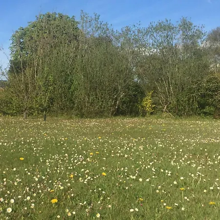 Ferienhaus La Longere A La 6 Pers 3 Grand Jardin Clot A Fort-Mahon-Plage