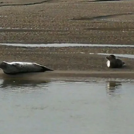 La Longere A La 6 Pers 3 Grand Jardin Clot A Ferienhaus *